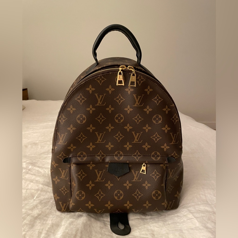 Louis Vuitton Palm Springs MM Backpack